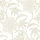 Purchase 4172-27515 A-Street Wallpaper, Star Flower Beige Floral Trail - Sea Salt