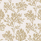 Purchase 4172-82002 A-Street Wallpaper, Tortuga Gold Coral Weave - Sea Salt