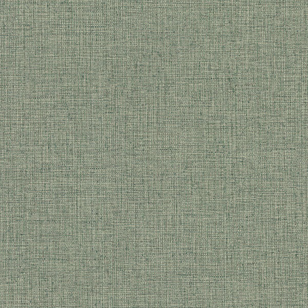 Purchase 4174-4619 Warner Wallpaper, Clarkson Green Woven - Grasscloth Resource 2