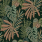 Purchase 4177-27737 A-Street Wallpaper, Alocasia - Drew & Jonathan Home Fifth Edition