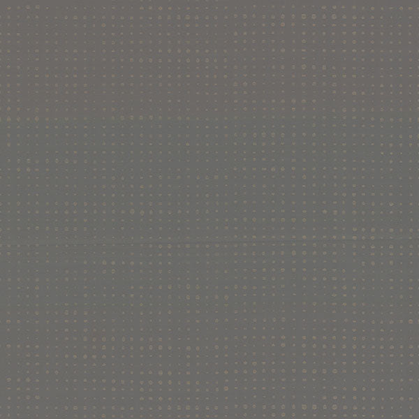 Purchase 4181-4707 Warner Wallpaper, Brielle Pewter Polka Dot - Infinity