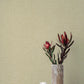 Purchase 4193-7404 A-Street Wallpaper, Alba Cream Open Weave - Portofino1