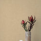 Purchase 4193-7405 A-Street Wallpaper, Alba Light Yellow Open Weave - Portofino1