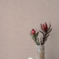 Purchase 4193-7406 A-Street Wallpaper, Alba Blush Open Weave - Portofino1