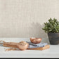 Purchase 4197-26233 A-Street Wallpaper, Lanister - Kaleidoscope1