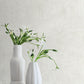 Purchase 4199-27773 Chesapeake Wallpaper, Abram Dove Distressed - Modern Farmhouse1