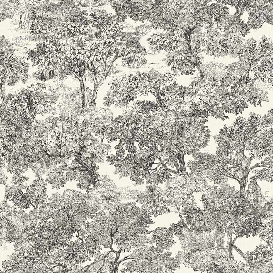 Purchase 4199-72558 Chesapeake Wallpaper, Spinney Black Toile - Modern Farmhouse