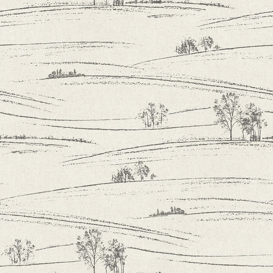 Purchase 4199-83728 Chesapeake Wallpaper, Isaac Black Rolling Hills - Modern Farmhouse