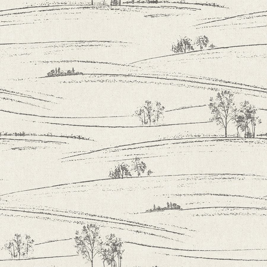 Purchase 4199-83728 Chesapeake Wallpaper, Isaac Black Rolling Hills - Modern Farmhouse