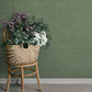 Purchase 4201-16026 A-Street Wallpaper, Midolin Moss Texture - Savanna12