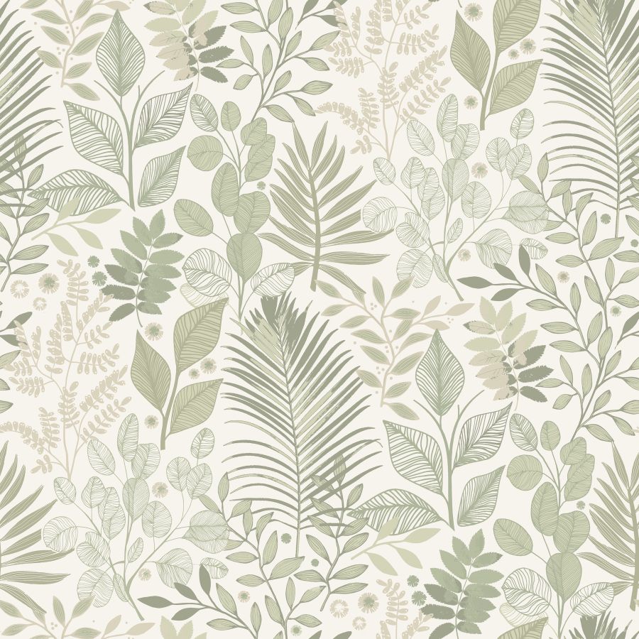 Purchase 4201-20102 A-Street Wallpaper, Ängslycka Green Forest Botanicals - Savanna