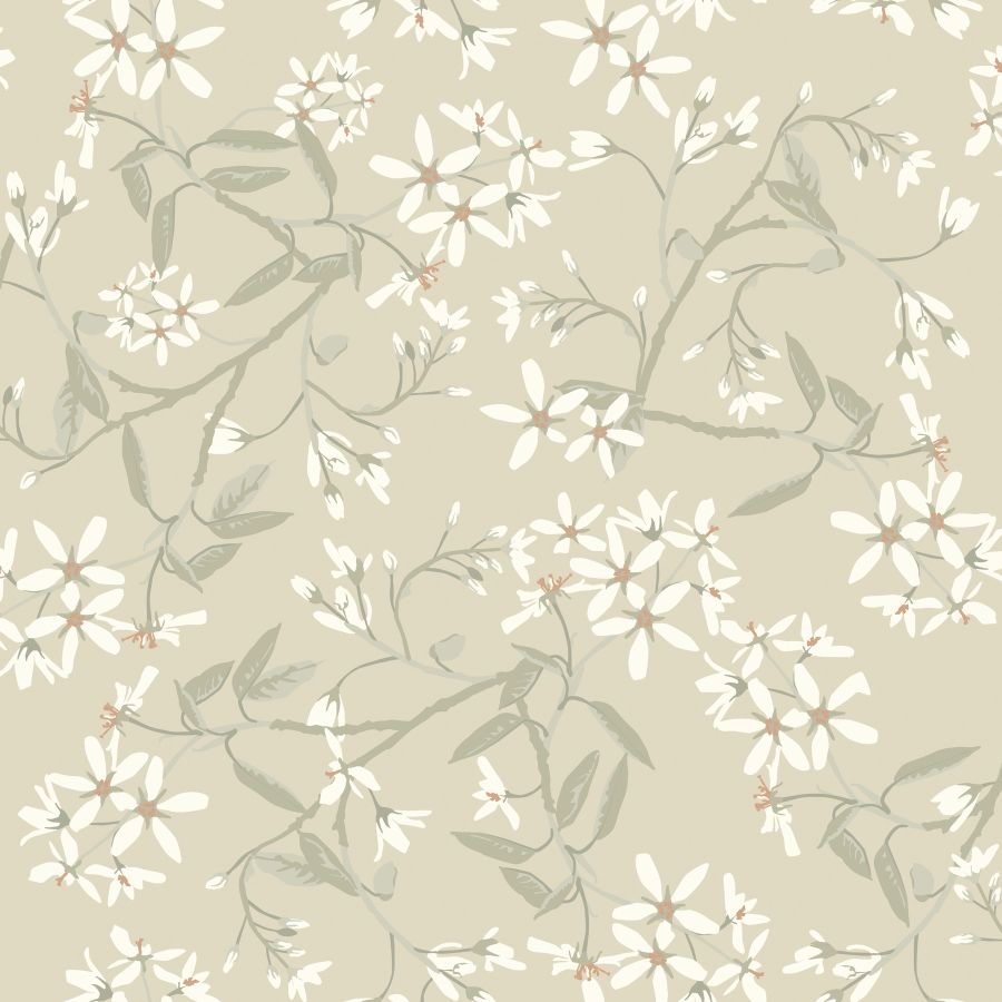 Purchase 4201-20112 A-Street Wallpaper, Paradis Beige Bouquet Toss - Savanna