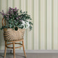 Purchase 4201-20117 A-Street Wallpaper, Herrgård Green Stripe - Savanna12