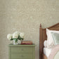 Purchase 4201-48002 A-Street Wallpaper, Siv Chestnut Botanical - Savanna1