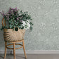 Purchase 4201-48004 A-Street Wallpaper, Siv Slate Botanical - Savanna12