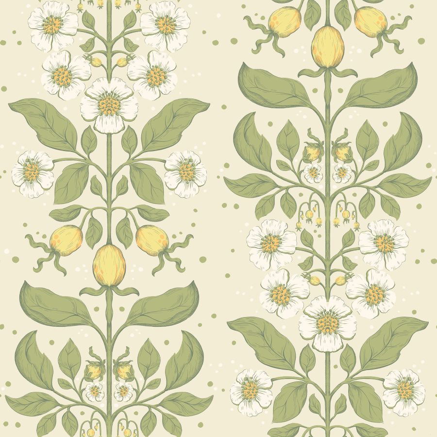 Purchase 4201-48010 A-Street Wallpaper, Rosa Green Floral Columns - Savanna