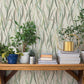 Purchase 4202-330212 A-Street Wallpaper, Willoughby Green Fronds - Springhill1