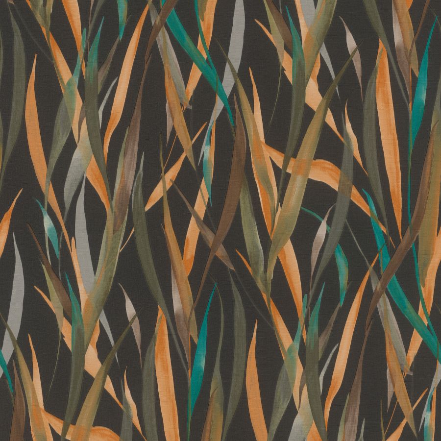 Purchase 4202-330250 A-Street Wallpaper, Willoughby Black Fronds - Springhill