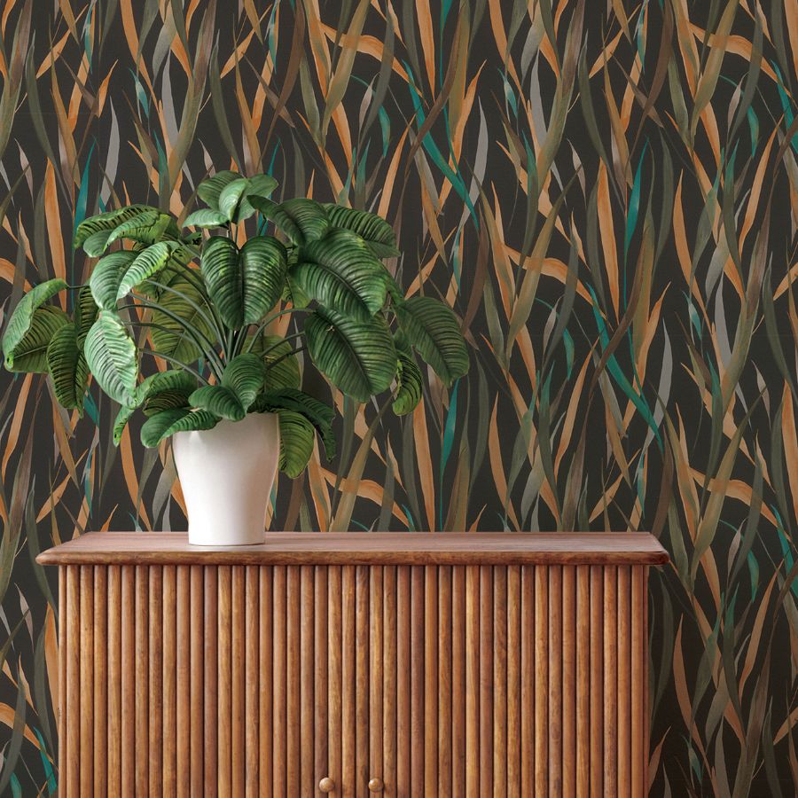 Purchase 4202-330250 A-Street Wallpaper, Willoughby Black Fronds - Springhill12