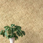 Purchase 4202-410334 A-Street Wallpaper, Ellery Wheat Herringbone - Springhill12