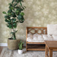 Purchase 4202-481402 A-Street Wallpaper, Izara Light Green Botanical - Springhill1