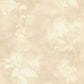 Purchase 4202-481419 A-Street Wallpaper, Izara Beige Botanical - Springhill