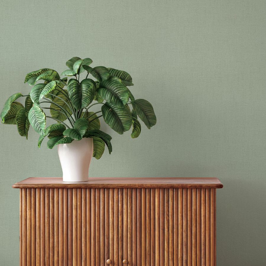 Purchase 4202-484588 A-Street Wallpaper, Naim Sage Solid Texture - Springhill12