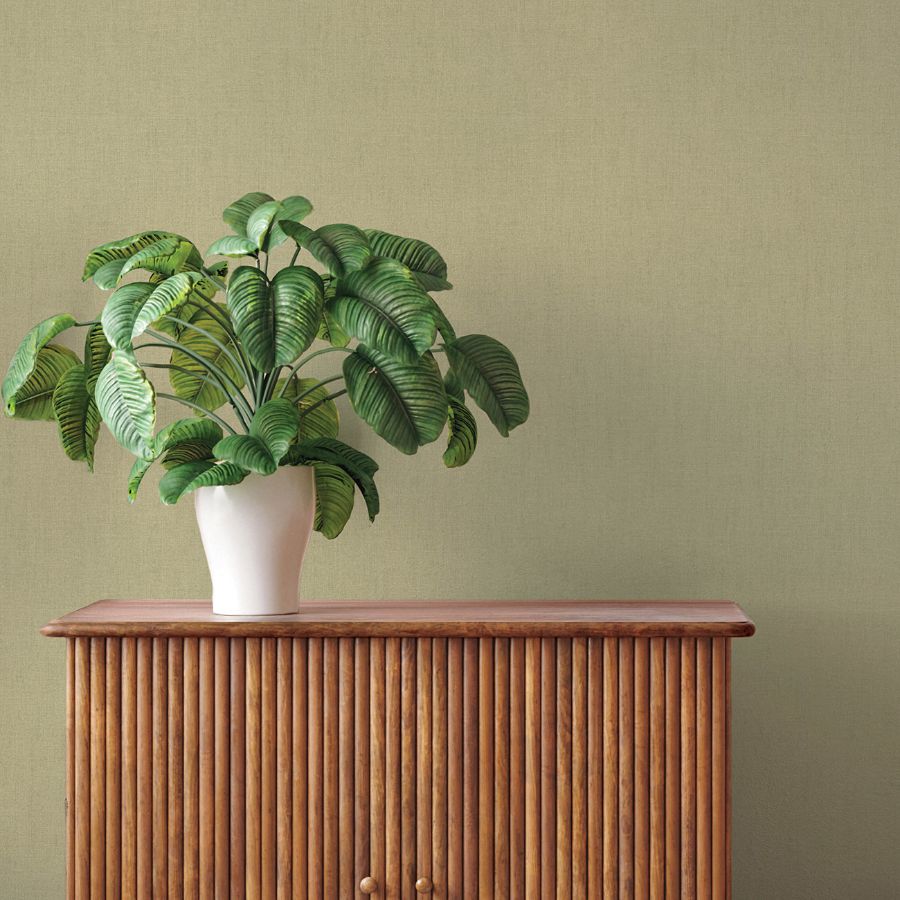 Purchase 4202-484687 A-Street Wallpaper, Naim Olive Solid Texture - Springhill12