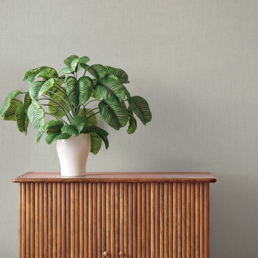 Purchase 4202-484748 A-Street Wallpaper, Naim Grey Solid Texture - Springhill12