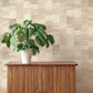 Purchase 4202-570953 A-Street Wallpaper, Ivo Beige Block Stripe - Springhill12