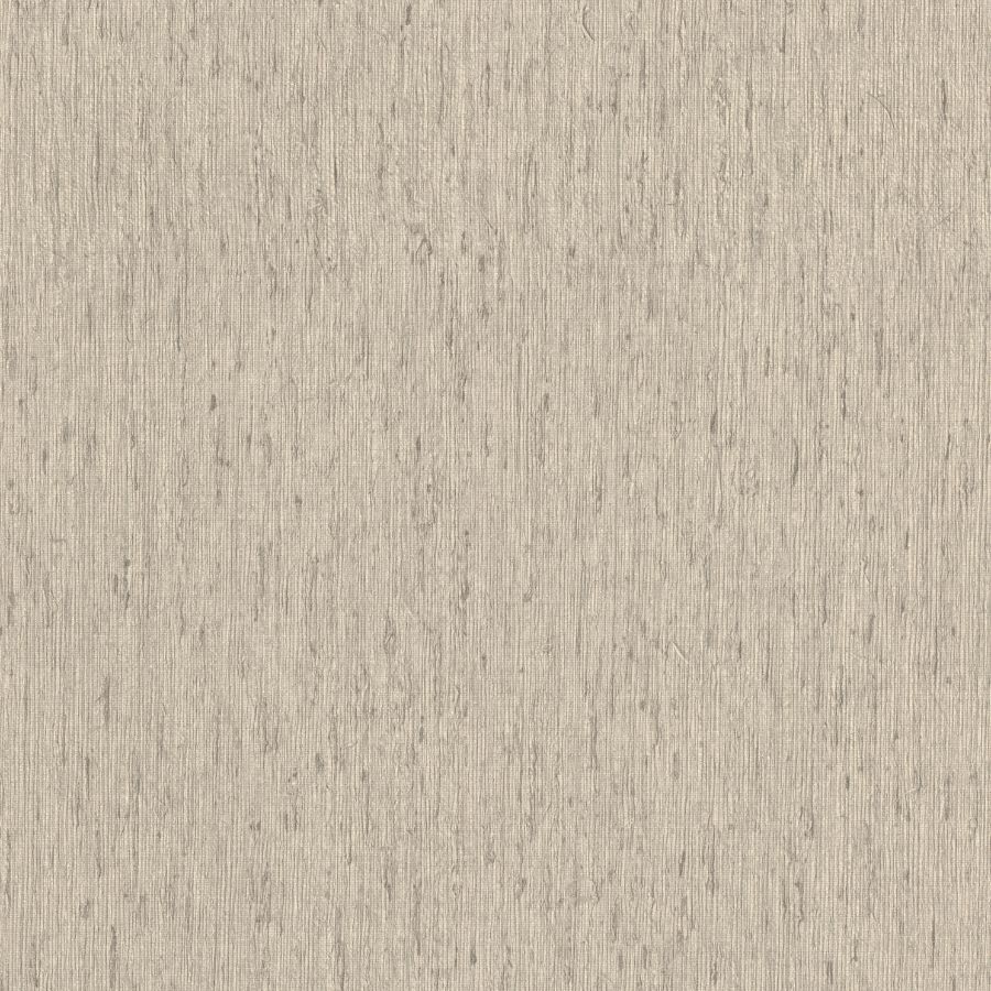 Purchase 4202-571035 A-Street Wallpaper, Roison Dove Birch Bark - Springhill