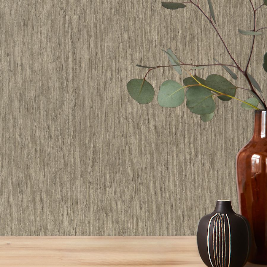 Purchase 4202-571035 A-Street Wallpaper, Roison Dove Birch Bark - Springhill1