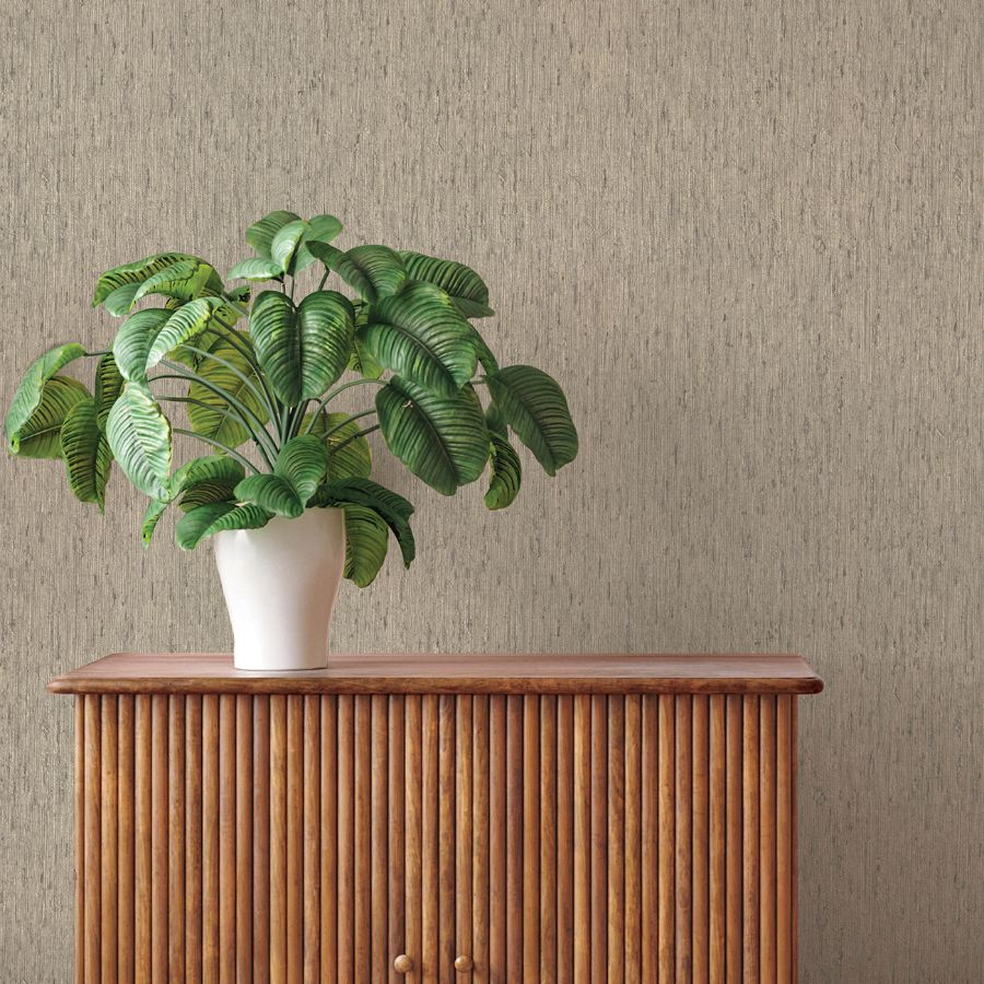 Purchase 4202-571035 A-Street Wallpaper, Roison Dove Birch Bark - Springhill12