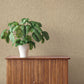 Purchase 4202-571066 A-Street Wallpaper, Roison Khaki Birch Bark - Springhill12