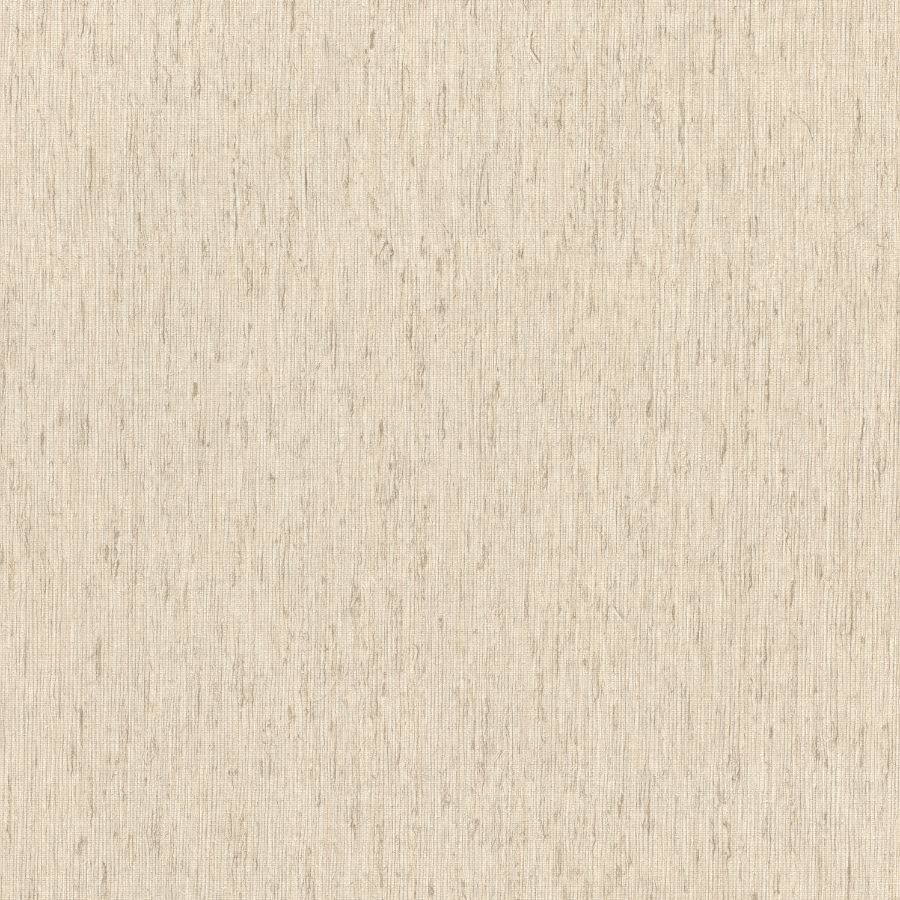 Purchase 4202-571073 A-Street Wallpaper, Roison Bone Birch Bark - Springhill