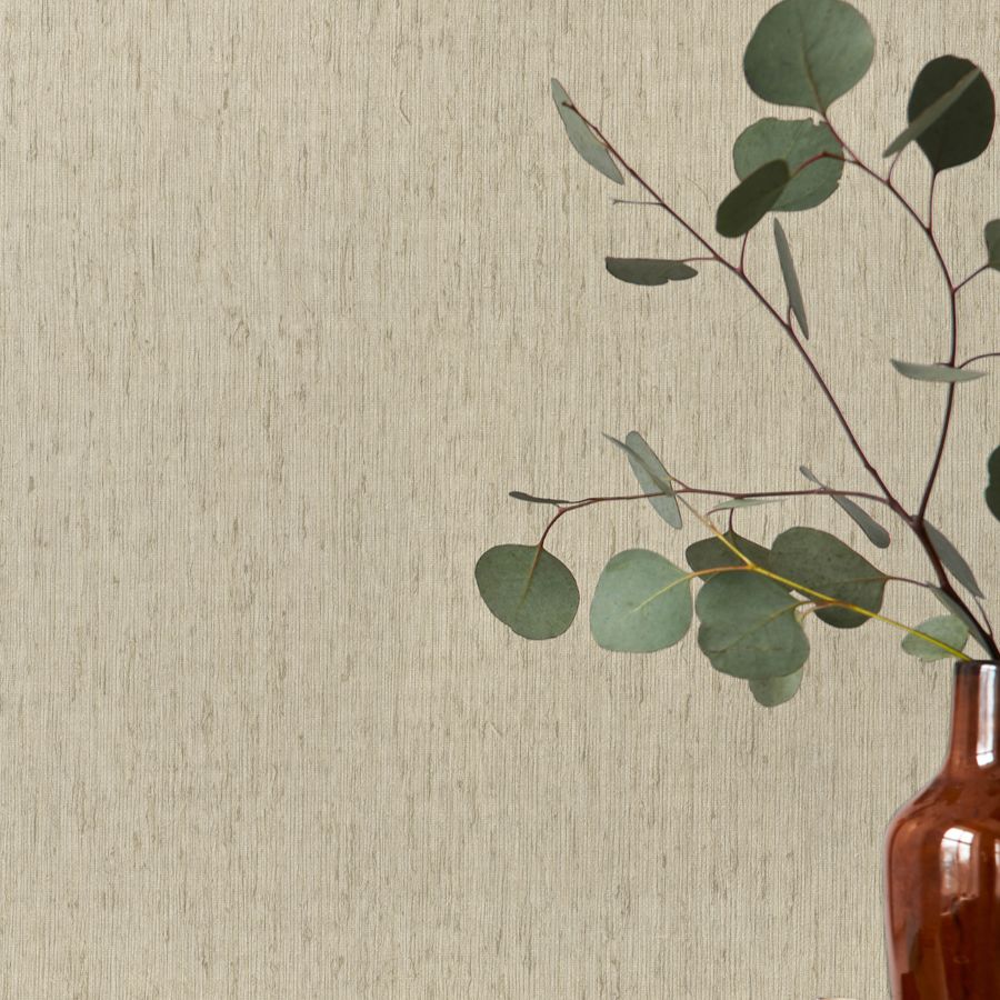 Purchase 4202-571073 A-Street Wallpaper, Roison Bone Birch Bark - Springhill1