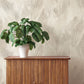 Purchase 4202-571516 A-Street Wallpaper, Melora Light Grey Leaf - Springhill12