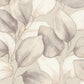 Purchase 4202-659856 A-Street Wallpaper, Evanthe Grey Vine - Springhill