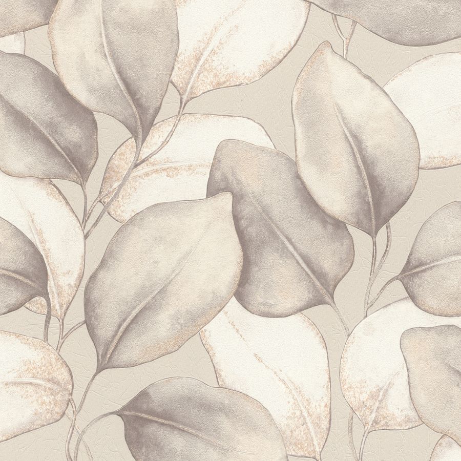 Purchase 4202-659856 A-Street Wallpaper, Evanthe Grey Vine - Springhill