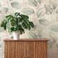 Purchase 4202-659863 A-Street Wallpaper, Evanthe Aqua Vine - Springhill12