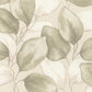 Purchase 4202-659870 A-Street Wallpaper, Evanthe Sage Vine - Springhill