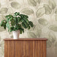 Purchase 4202-659870 A-Street Wallpaper, Evanthe Sage Vine - Springhill12