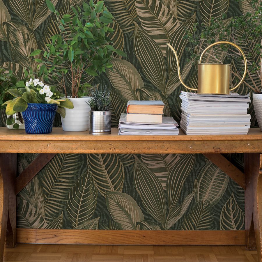 Purchase 4202-751826 A-Street Wallpaper, Acacius Dark Green Tropical Foliage - Springhill1