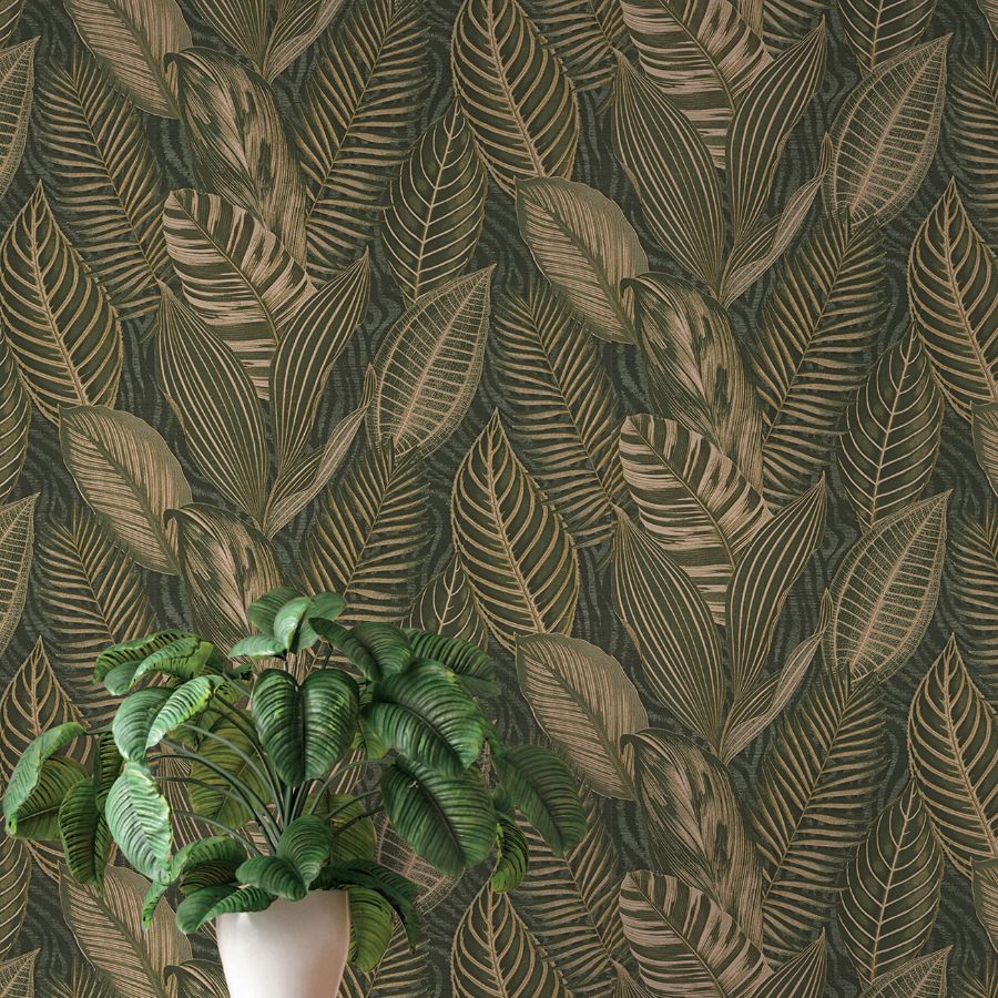Purchase 4202-751826 A-Street Wallpaper, Acacius Dark Green Tropical Foliage - Springhill12