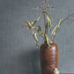 Purchase 4211-83548 | Private Reserve, Saratoga Blue - Ronald Redding Wallpaper