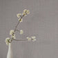 Purchase 4228-84120 | Maestro, Egyptian Linen - York Wallpaper