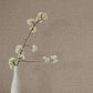 Purchase 4228-84123 | Maestro, Egyptian Linen - York Wallpaper