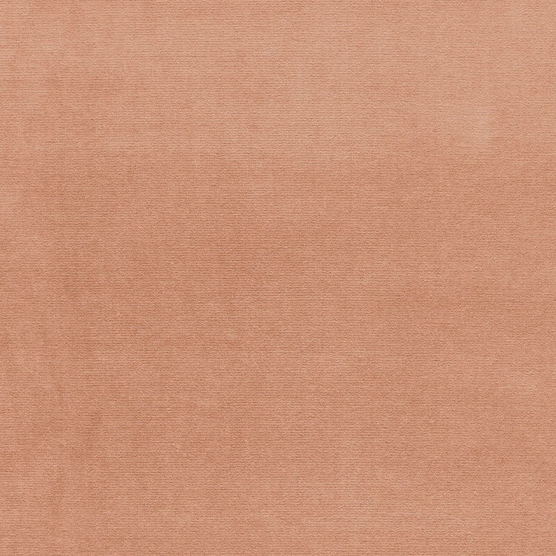 Shop 42774 Gainsborough Velvet Fawn by Schumacher Fabric