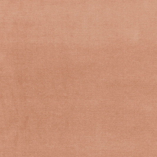 Shop 42774 Gainsborough Velvet Fawn by Schumacher Fabric