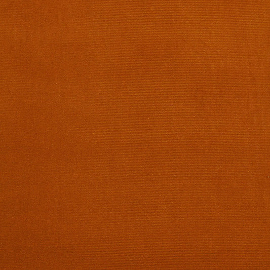 Looking 42851 Gainsborough Velvet Baroque by Schumacher Fabric